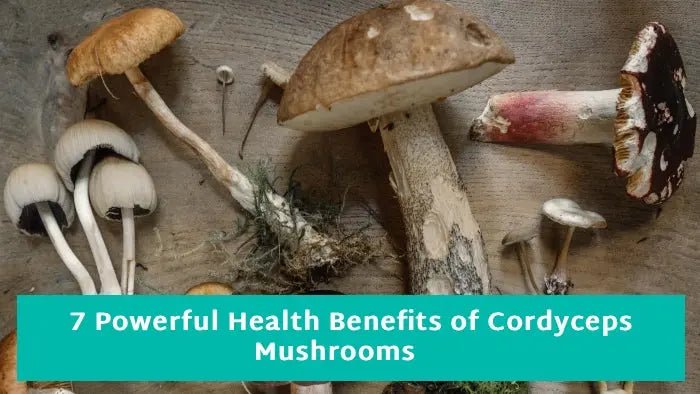 7-Powerful-Health-Benefits-of-Cordyceps-Mushrooms Further Food