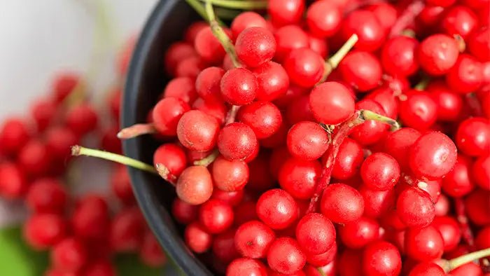 8-Natural-Schisandra-Berry-Benefits-That-You-Need-to-Know Further Food