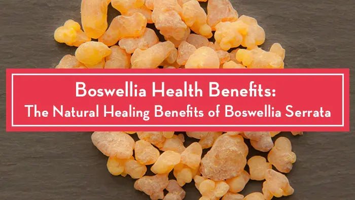 Boswellia-Health-Benefits-The-Natural-Healing-Benefits-of-Boswellia-Serrata Further Food