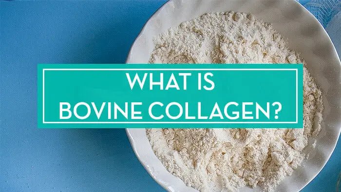 Bovine-Collagen-How-It-Can-Help-You-Improve-Your-Health Further Food