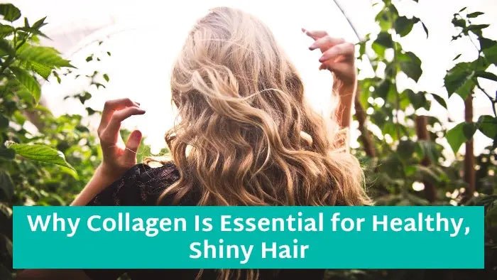 Collagen-for-Hair-Why-It-Is-Essential-for-Healthy-Shiny-Hair Further Food