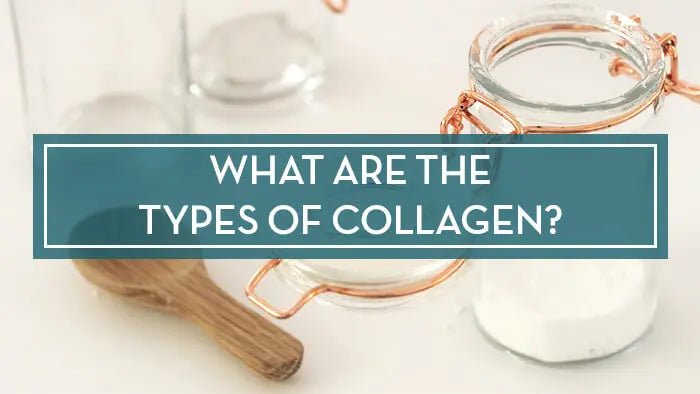 Collagen-Types-Which-One-Is-Better-for-Your-Health Further Food