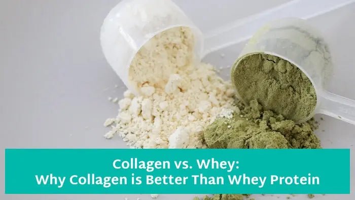 Collagen-vs-Whey-5-Reasons-Why-Collagen-is-Better-Than-Whey Further Food
