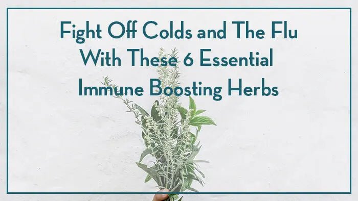 Fight-Off-Colds-and-The-Flu-With-These-6-Essential-Immune-Boosting-Herbs-Says-Clinical-Herbalist-Clair-Moore Further Food