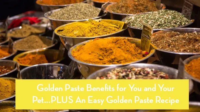 Golden-Paste-Benefits-for-You-and-Your-Pet-PLUS-An-Easy-Golden-Paste-Recipe Further Food