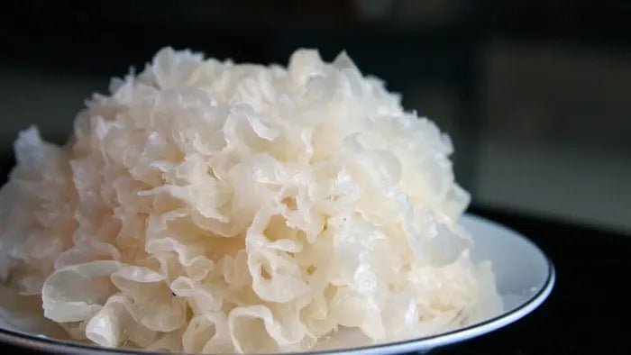 Health-and-Beauty-Benefits-of-the-Tremella-Snow-Mushroom Further Food