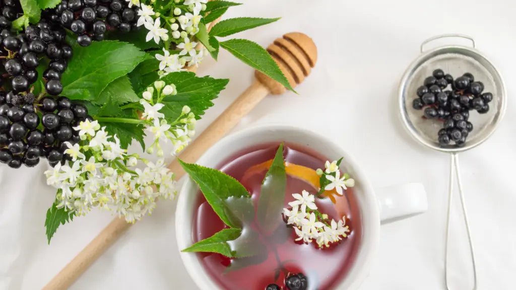 Proven-Benefits-of-Elderberry-For-Immune-Support Further Food