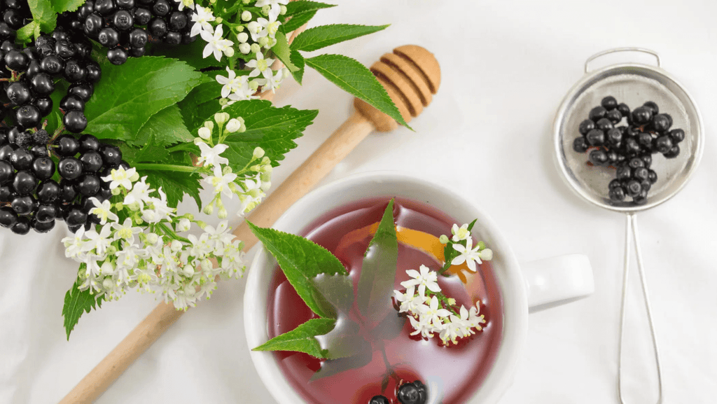 Scientifically-Proven-Benefits-of-Elderberry-for-Immune-Support Further Food