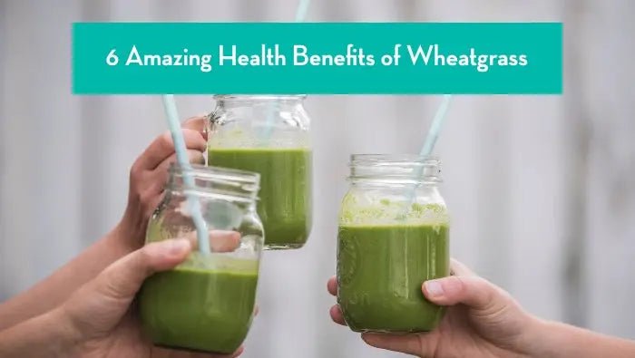 The-Benefits-of-Wheatgrass-6-Healthy-Reasons-to-Start-Taking-Wheatgrass-Today Further Food