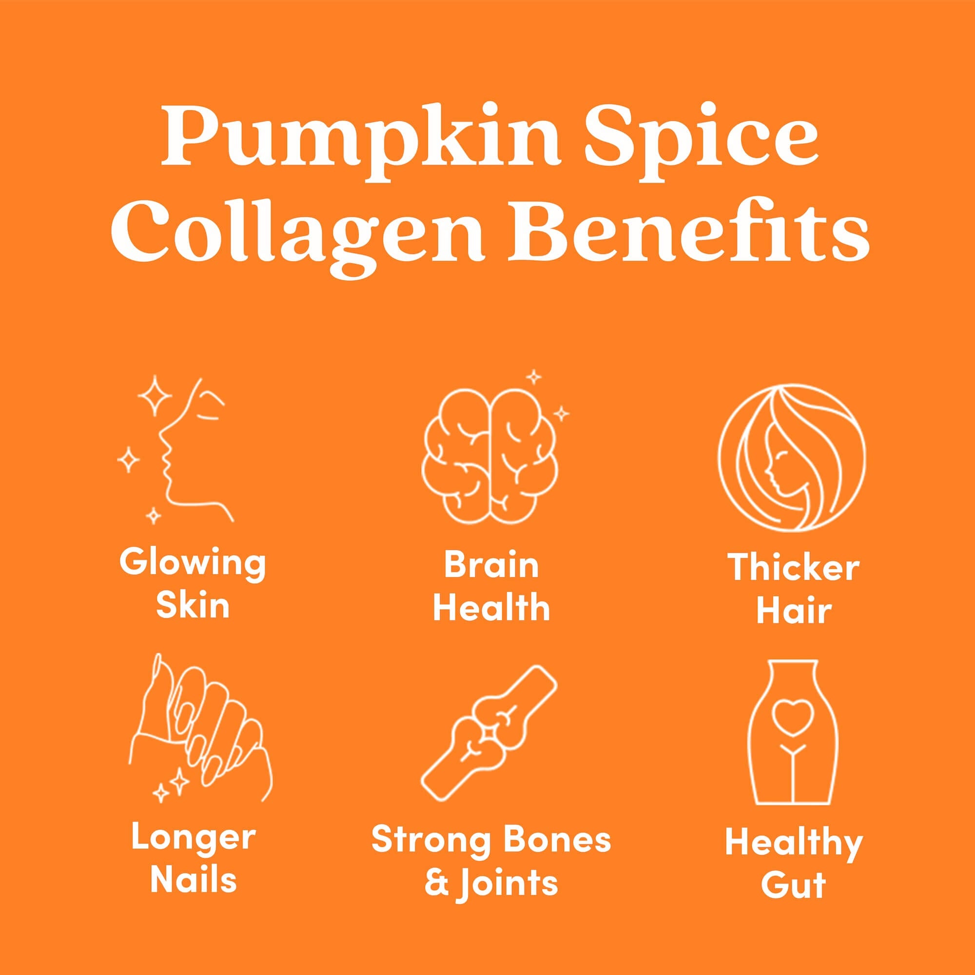 Pumpkin Spice Collagen Powder