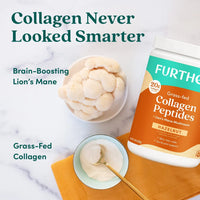 Hazelnut Collagen Peptides Powder | Further Food