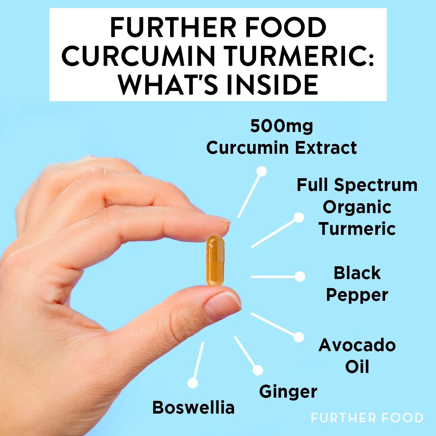 Premium Curcumin Turmeric | Further Food